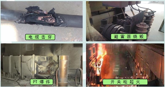 3.10图片1.jpg