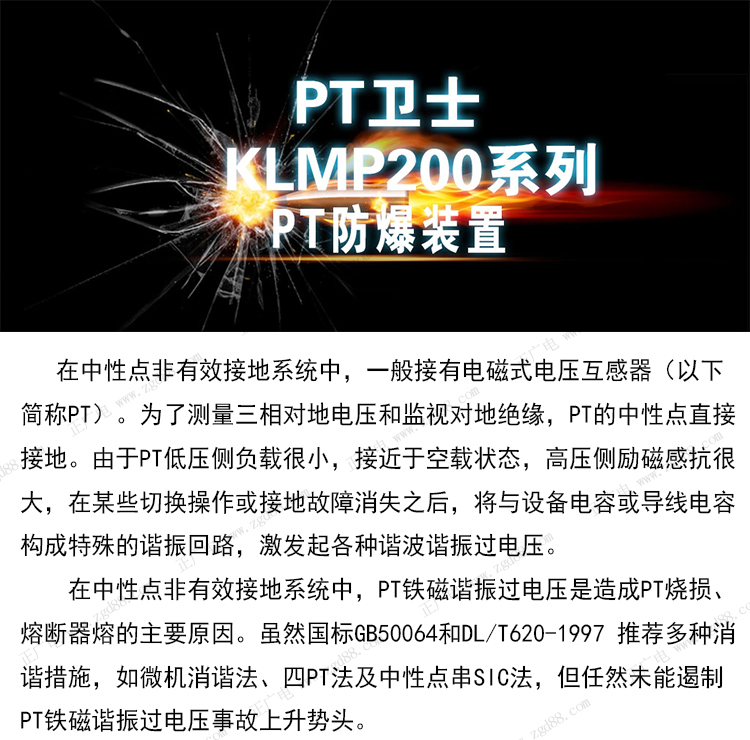 详情页_01.jpg