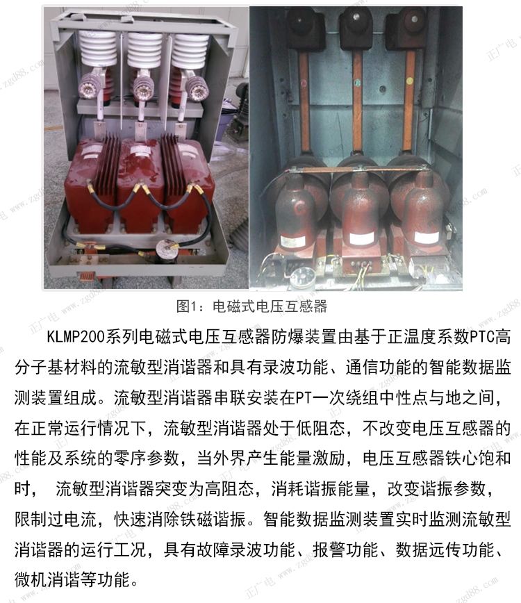 详情页_02.jpg